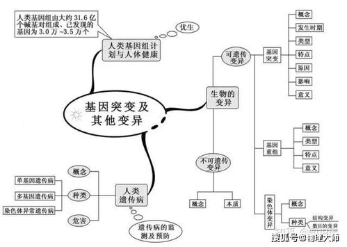 高中生物思維導圖搶先看 生物育種關鍵知識點全解析